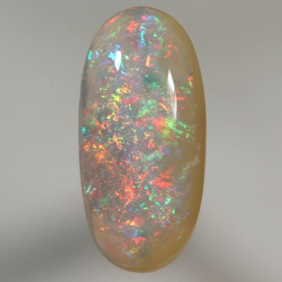 SOLID SEMI BLACK OPAL Bright Floral Harlequin pattern throughout. 